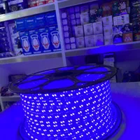 فروش ویژه به قیمت فاکتور ریسه شلنگی آبی ، متری ۲۵|ریسه و چراغ تزئینی|ملایر, |دیوار