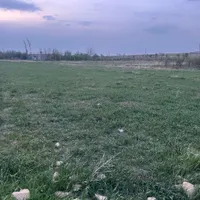 زمین باغی  پرآب جاده شهرک بهشتی بعدتصفیه خانه|فروش دفتر صنعتی، کشاورزی، تجاری|همدان, |دیوار