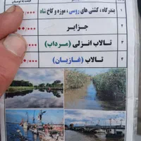 اسکله قایق سواریvip تالاب مرداب بدون واسطه مستقیم|تور و چارتر|بندر انزلی, قلم گوده|دیوار