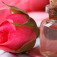 تور گلابگیری کاشان|تور و چارتر|یزد, |دیوار