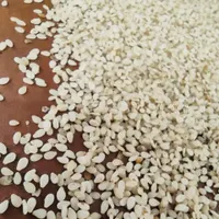 فرآوری و پخش کنجد|خوردنی و آشامیدنی|مشهد, شهرک صنعتی توس|دیوار