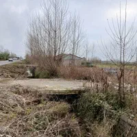 فروش یک قطعه زمین برای سرمایه گذاری|فروش زمین و ملک کلنگی|لشت نشا, |دیوار