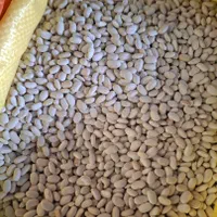 مرکز پخش عمده حبوبات اصفهان|خوردنی و آشامیدنی|اصفهان, غدیر|دیوار