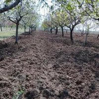 احداث باغ،باغبانی،اجرای سیستم مکانیزه آبیاری، چمن