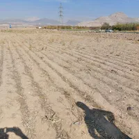 هزارمتر زمین در فیض اباد زیاران کنار اتوبان|فروش دفتر صنعتی، کشاورزی، تجاری|آبیک, |دیوار