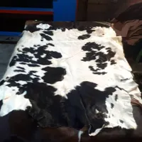 پوست چرم گاو بز