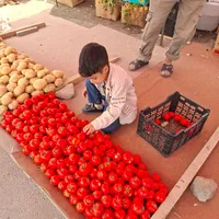 کارگرساده