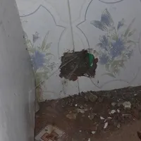 نشت یابی دستگاه نقطه زن نشتیابی وتعمیر درجا