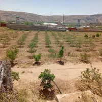 فروش زمین با مجوز گلخانه در شهر سیدان|فروش دفتر صنعتی، کشاورزی، تجاری|مرودشت, تخت جمشید|دیوار