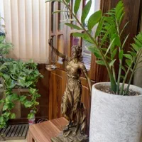 وکیل پایه ۱ دادگستری اراک|خدمات مالی، حسابداری، بیمه|اراک, |دیوار