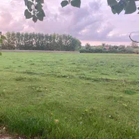 ۹۰۰۰متر زمین باغی/بر آسفالت/ملک ۳ بر/داخل طرح هادی|فروش زمین و ملک کلنگی|رشت, کاکتوس|دیوار