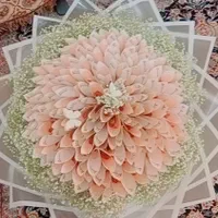 باکس پول سوپرایزی دسته گل پول|گل مصنوعی|تهران, نعمت‌آباد|دیوار