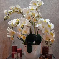 گل ارکیده لمسی