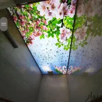 سقف کشسان کاغذدیواری کاغذ دیواری پارکت کفپوش پوستر|مصالح و تجهیزات ساختمان|مشهد, کوه سنگی|دیوار