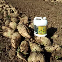 کود محلول تقویتی افزایش سایز و وزن چغندر (وارداتی)|خدمات باغبانی و درختکاری|کرمانشاه, |دیوار