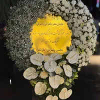 استند تاج گل ترحیم دسته گل سبد گل تسلیت پایه گل|گل و گیاه طبیعی|مشهد, امیر|دیوار