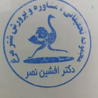 مجموعه آموزشی وخدمات شترمرغ دکتر افشین نصر|خدمات آموزشی|خمینی‌شهر, |دیوار