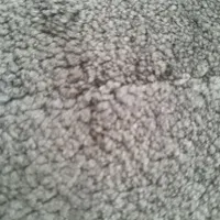 فلش گم کردیم