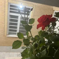 سوییت  پارکینگ داربا تمام امکانات نزدیک به باغ فین|اجارهٔ کوتاه‌مدت آپارتمان و سوئیت|کاشان, باغ فین|دیوار