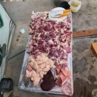 انواع گوسفند‌زنده‌بره نروماده خوش‌پخت|حیوانات مزرعه|قم, باسکول|دیوار