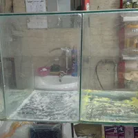 ،ویترین‌آهنی‌چوبی،سایه‌بان‌‌،شیشه‌جای‌‌چای‌ونبات‌و|فروشگاه و مغازه|خاوران, |دیوار