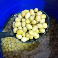 فروش کلی و جزئی زیتون کنسروی در زیتون سرای|عمده‌فروشی|تهران, خاک سفید|دیوار