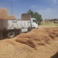 جاروشهرداری|عمده‌فروشی|کرج, برغان|دیوار