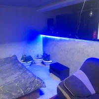 اجاره روزانه/آپارتمان ۴۵ متری|اجارهٔ کوتاه‌مدت آپارتمان و سوئیت|کرمان, |دیوار