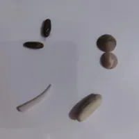 فروش پکیج مهره