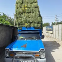 یونجه