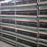 قفس مرغ تخم گذار و قفس بلدرچین تخم گذار *درحدنو*