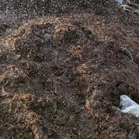 بستر کشت خاک گل کود تقویت باغ|گل و گیاه طبیعی|اصفهان, بیدآباد|دیوار