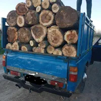 خریدارچنارو درخت چوب سویود سقفی وتر وخشک و