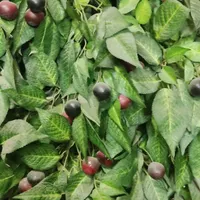 درختچه مصنوعی گیلاس|گل مصنوعی|قرچک, |دیوار