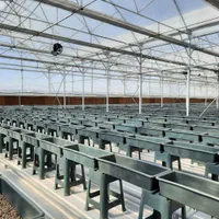 فن سیرکولار گلخانه|پنکه و تصفیهکنندهٔ هوا|شهرضا, |دیوار