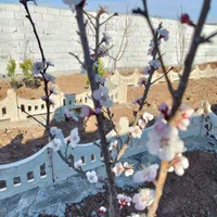 فروش باغچه ۱۷۲ متری سنددار تهاتر دارم