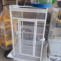 کابوک آرایی در شهر حیوانات ایرانی