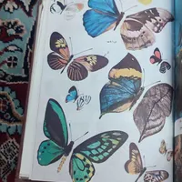 کتاب فرهنگ فارسی عمید،و ادبیات نمایشی رم،و مفاتیح|کتاب و مجله ادبی|اصفهان, فردوان|دیوار