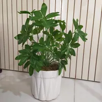 گل مصنوعی شفلرا درجه یک