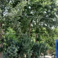 اجاره آپارتمان مبله کوتاه مدت/سوئیت|اجارهٔ کوتاه‌مدت آپارتمان و سوئیت|رباط‌کریم, رباط‌کریم|دیوار