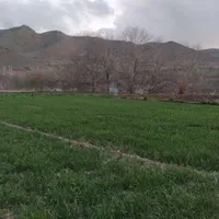 باغ پلاک دوم رودخانه روستای چمنار|فروش دفتر صنعتی، کشاورزی، تجاری|سامان, |دیوار