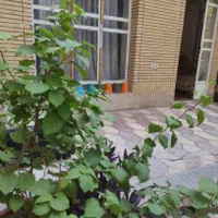 منزل ویلایی بزرگ و باصفا در قلب شهر|اجارهٔ کوتاه‌مدت ویلا و باغ|شیراز, زند|دیوار