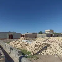 زمین کلنگی روستای تاج خاتون|فروش زمین و ملک کلنگی|قم, آزادگان|دیوار