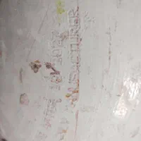 کارکردهو کپسول