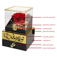 گل رزجاودان، رز ماندگار، رز جاودیدان، جعبه جواهر|گل و گیاه طبیعی|تهران, دردشت|دیوار