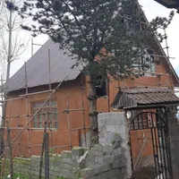 زیبایی اصیلکاهگل