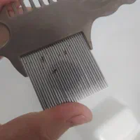 کلینیک ومرکز تخصصی درمان شپش آبتین یزد|خدمات آرایشگری و زیبایی|یزد, |دیوار