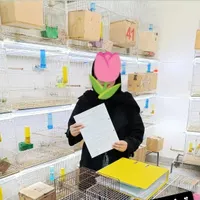 سالن کفتر طوطی کوتوله برزیلی عروس قناری لوری ملنگو|پرنده|اصفهان, جلفا|دیوار