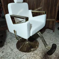 صندلی ارایشگاه پدالی|آرایشگاه و سالن‌های زیبایی|رشت, امین الضرب|دیوار