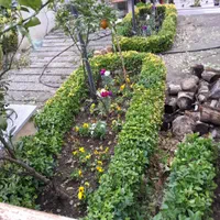 خدمات باغبانی وباغداری،گلکاری، تراش،سمپاشی